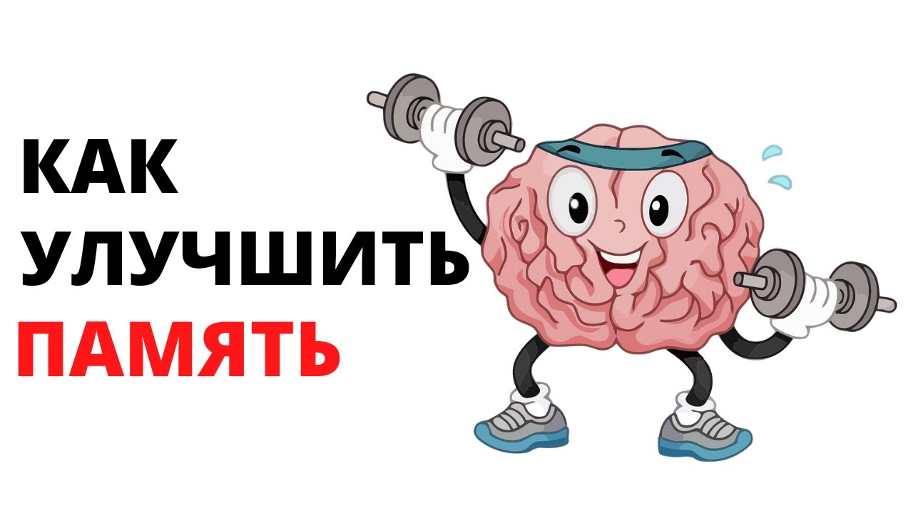 как улучшить память
