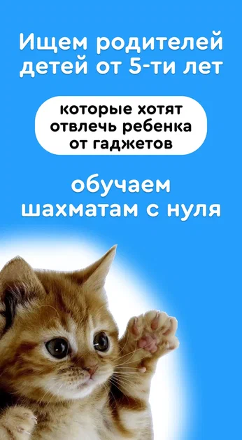 Шахматы для детей